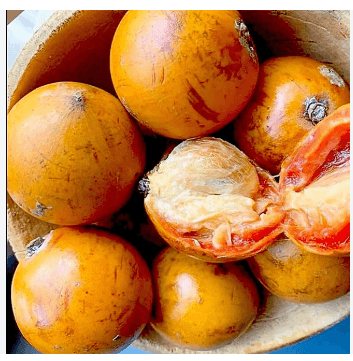 African star apple