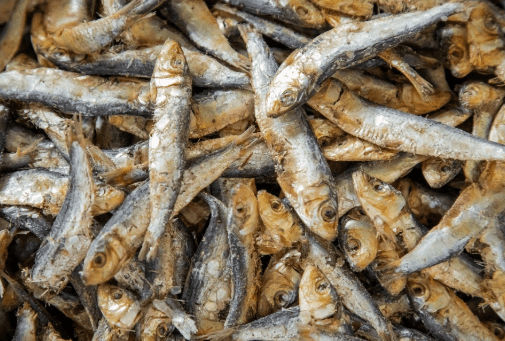 Dried fish