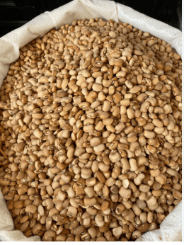 Honey beans