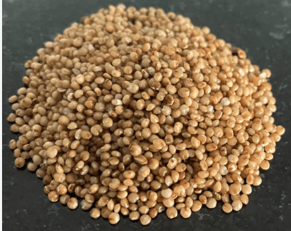 Millet