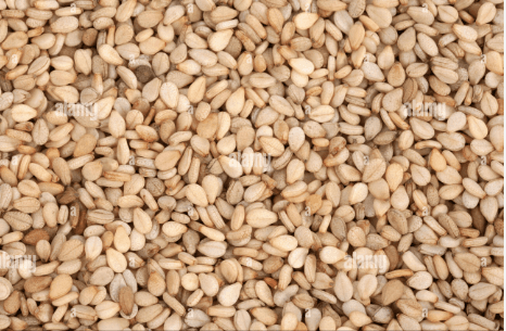 Sesame seed