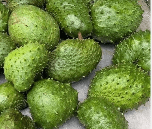 Soursop