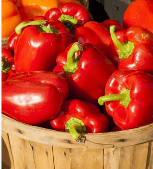 Red bell pepper