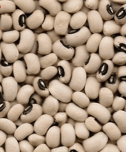 White beans
